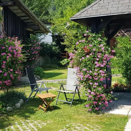 Appartement Gregorc *