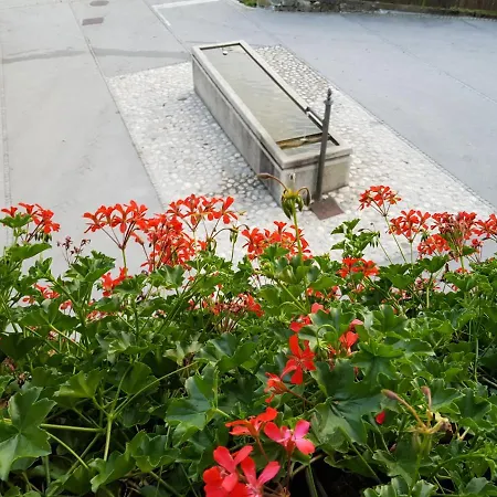 Gregorc * ブレッド