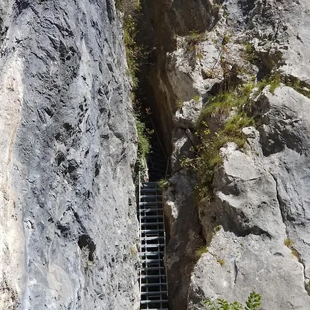 Gregorc アパート *