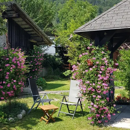 アパート Gregorc ブレッド