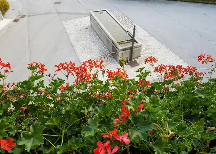 ابارتمنتس غريغورك * بليد