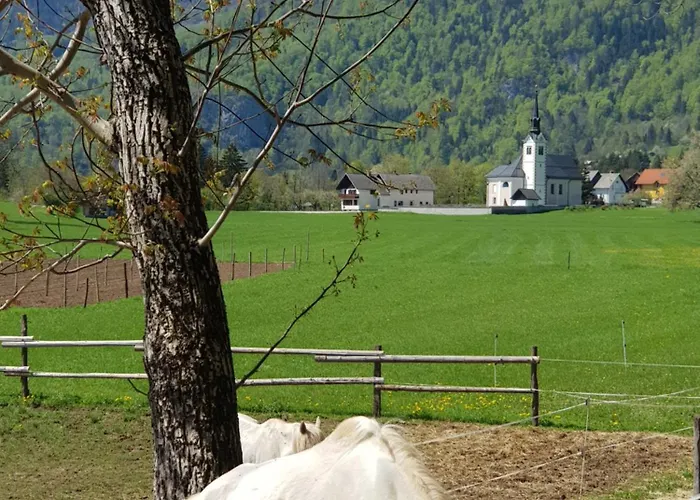 Gregorc ブレッド