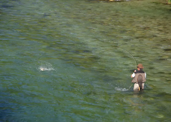 Gregorc アパート ブレッド